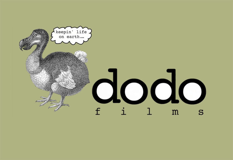 dodo films animated logo