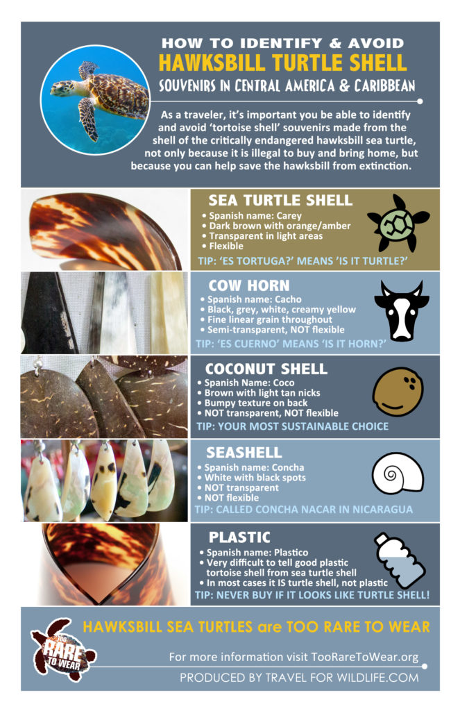 How to identify real tortoiseshell, hawksbill turtle shell