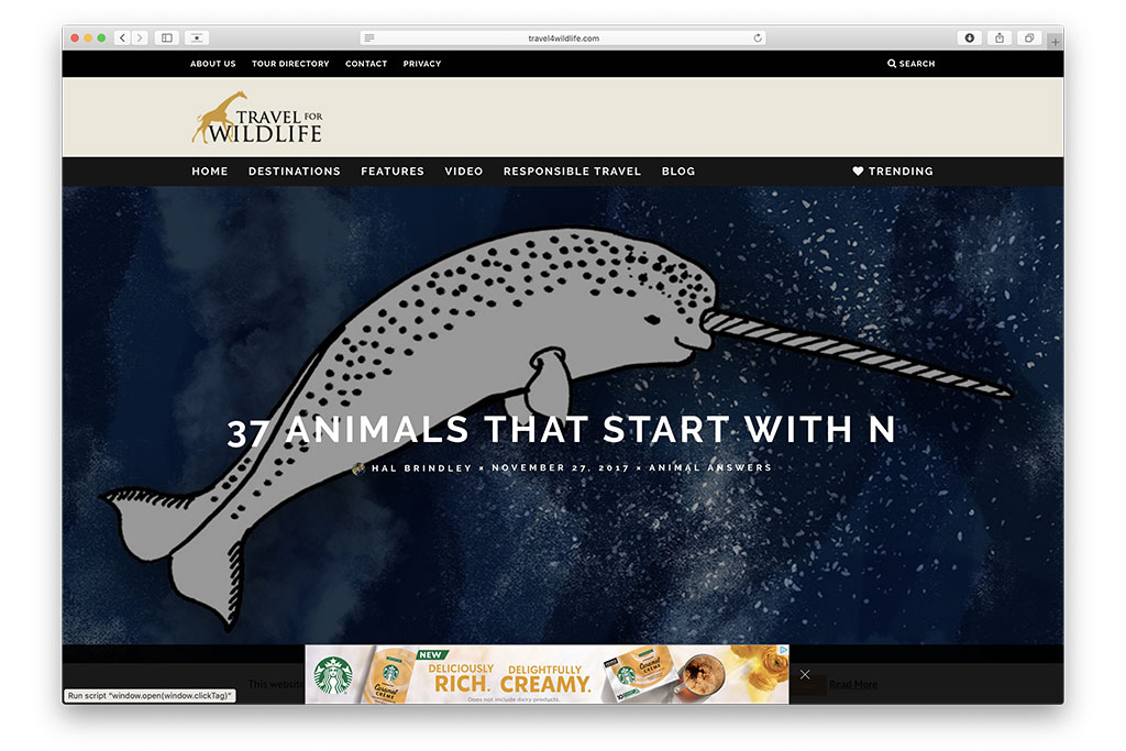 web design: travel for wildlife