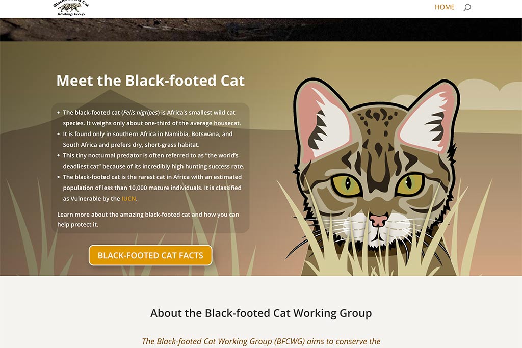 Black-footed Cat Working Group website