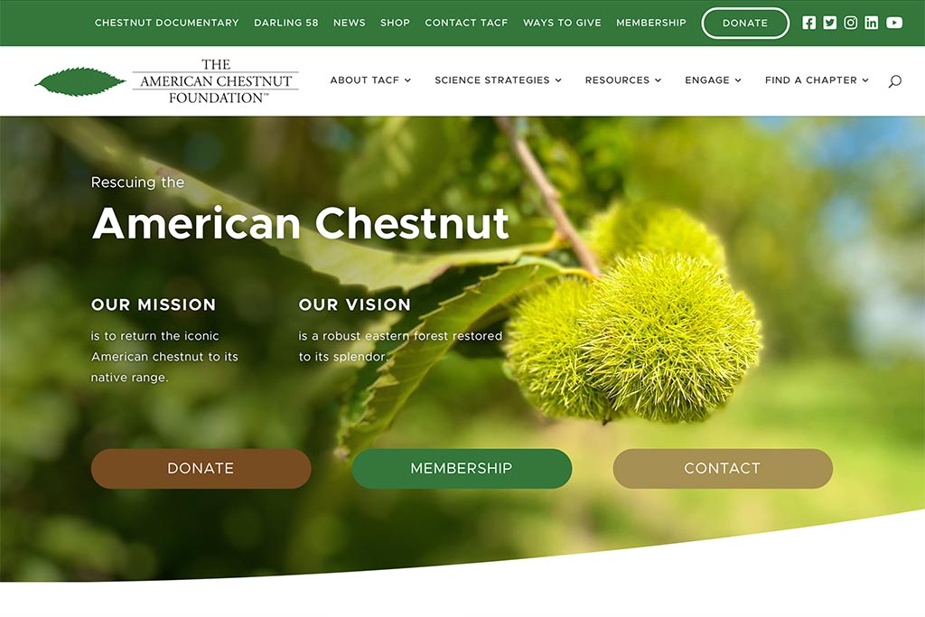 The American Chestnut Foundation website